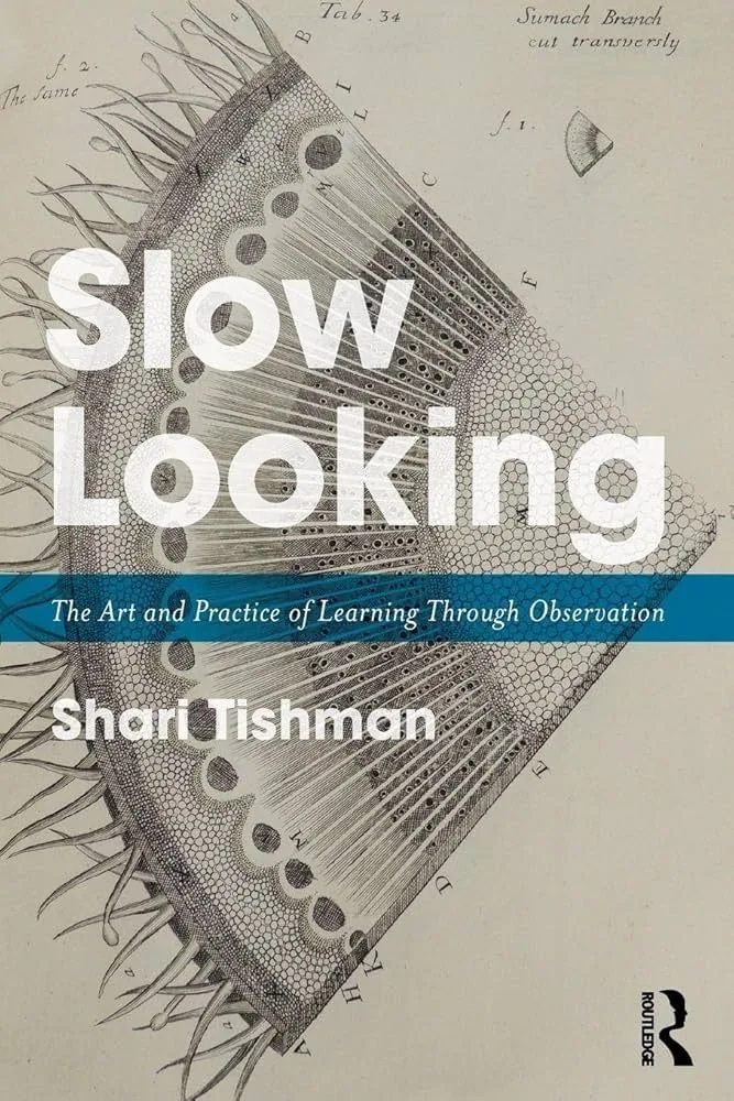 Slow Looking By Shari Tishman